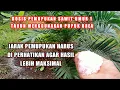 Download Lagu inilah cara dan dosis pemupukan tanaman sawit umur 1tahun agar hasil maksimal #sawit #pupuksawit