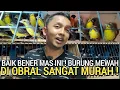Lagu UPDATE HARGA ! SEMURAH INIKAH HARGA MOZAMBIK INDIGO VILLAGE DI PASAR BURUNG PRAMUKA HARI INI