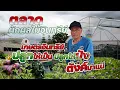 Download Lagu เกษตรอินทรีย์ ปลูกให้เป็น ปลูกให้ปัง ตังค์มาแน่ #เกษตรอารมณ์ดี