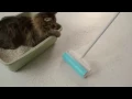 Shticky Presentation