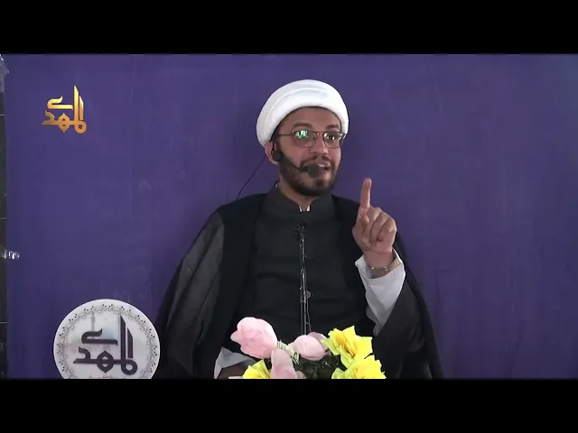 ⁣Imam Tanha Rahe Sa’adat | Imam Ki Tanhai Ka Asal Wajood | H.I. Hadi Wilayati