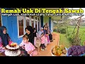 Download Lagu HIDUP DI DESA | Sarapan Goreng Uli, Menjenguk Uak Di Rumah Tengah sawah
