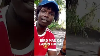 Akon here is a bird listeners #windedvoyage #sailinglife #sailing #sailboat #gambia gambia