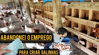 5 motivos que me levaram a ABANDONAR o EMPREGO para CRIAR GALINHAS.