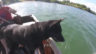 Our Dog Layla’s Sailing Day