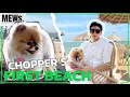Download Lagu Mewspaper EP5 I CHOPPER'S FIRST BEACH [ENG SUB]