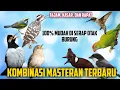 Download Lagu KOMBINASI MASTERAN BURUNG TERBARU tajam, kasar, dan rapat PILIHAN UNTUK BURUNG LOMBA  !!!...