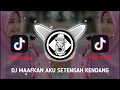 Lagu DJ MAAFKAN AKU SETENGAH KENDANG