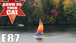 Show us your cat! Episode 87 England and Canada