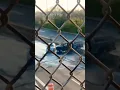 TERRIBLE ACCIDENT 295