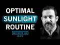Optimal Morning Evening Sunlight Routine Dr Andrew Huberman