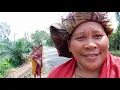 Download Lagu MENCARI BIBIT PUCUK UBI KAYU ⁉️ KESEMAK SEMAK