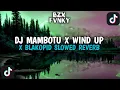 Download Lagu DJ MAMBOTU X WIND UP X BLAKOPID APRI RMX VIRAL TIK TOK TERBARU 2024