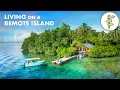 Download Lagu Family of 5 Living Off-Grid on a Remote Tropical Island