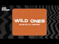 Download Lagu CLUB BANGER ORIGINAL - WILD ONES (VANFIRE FT. FLO RIDA, SIA)