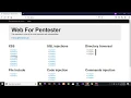 Web For Pentester PentesterLab XSS Example 3