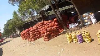                                                                           دندنها
