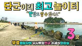 한 달도 살 수 있는 놀이터 3곳, 무료 해변캠핑 항구차박, 낚시 투망 캠핑카 여행 수세식 화장실 굿, 완벽한 편의시설, 강릉 안목해변, 남항진해변, 염전해변, 남대천 썸네일