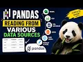 Stop Struggling with Data Import in Pandas Complete Beginner to Advanced Guide