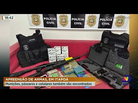 Apreensão de armas em Itapoá: munições, pássaros e celulares também são encontrados