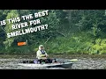 The Upper Mississippi HAS to be the Greatest River Smallmouth Bass Fishery on Planet Earth