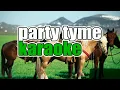 Chris Stapleton - White Horse (Karaoke Version)