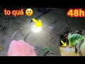 Download Lagu 48H / Đêm Thứ 2 Chóng Chọi Với Cơn Bão Số 10 /  Chạm Mặt Con Cá Khủng Lúc Nữa Đêm 