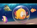 Download Lagu Where's Chicky? Funny Chicky 2023 | THE OCEAN | Cartoon in English for Kids | New episodes
