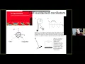 Synchronization in two-level quantum systems
