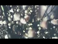 麗奈 - ワカレミ [Lyric Video]