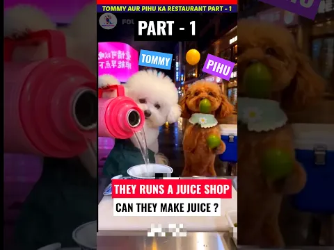 टॉमी और पिहु ने संतरे का जूस बनाया 🍊 Yum yum yummy 😋 Funny dogs videos #tommy #dog #orange