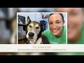 St Louis first old dog retirement home called the Second Chance Ranch from The Wet Nose Project