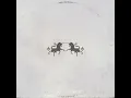 Echo - The Chainsmokers & Oaks