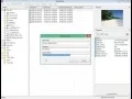 How to add batch editing plugin to Exif Pilot using Exif Pilot