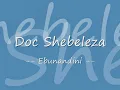 Doc Shebeleza - Ebunandini