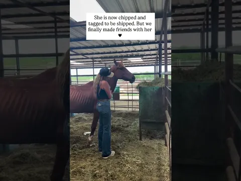 We've kept her safe. Now it's time to rescue her. #horse #help #pony #rescue #rescuehorse