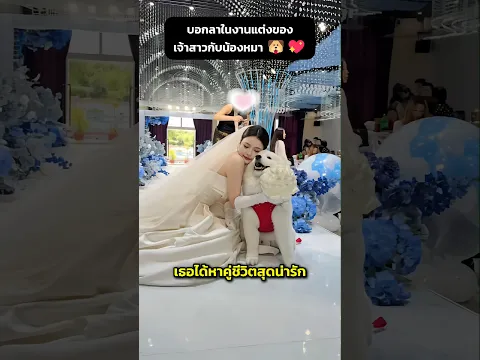 บอกลาในงานแต่งของเจ้าสาวกับน้องหมา 🐶💖