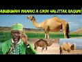 Download Lagu Hoe de schepping van een kameel vol wonderen zit, Prof. Umar Sani Fagge