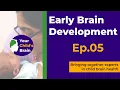 Discussing Early Brain Development Your Child s Brain