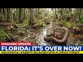 SCIENTISTS RELEASED ROBOT RABBITS IN FLORIDA TO KILL PYTHONS BUT WHAT THEY KILLED WAS FAR WORSE