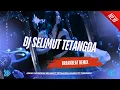 Lagu DJ SELIMUT TETANGGA - BREAKBEAT VIRAL TIK-TOK TERBARU 2025 FULL BASS