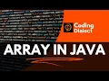 Array in Java with all types