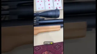 أفضل بندقية بسعرها 