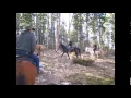 Download Lagu A Typical Trail Ride at Andy's | Andy's Trail Rides
