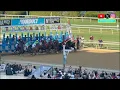 The Final Horse Race Ever Run at New York City s Historic Aqueduct Racetrack