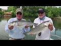Lake Hickory Stripers Bob Redfern s Outdoor Magazine