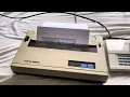 Trying My Brother M-1009 Dot Matrix Printing With The Brother Pattern Programming Device PPD-120