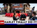 Harley Just Proved Everyone Wrong The Numbers Are In