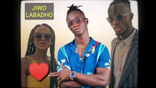 jizzle ft saifond baldeh jiwo labadho official video reaction
