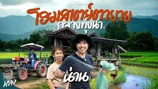 บ้านต้งชมจันทร์ ต.บ่อสวก น่าน | อาสาพาไปหลง